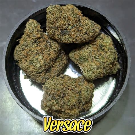 versace strain price|Versace strain review.